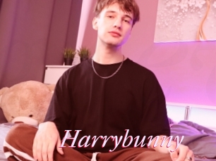 Harrybunny