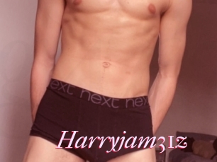 Harryjam31z