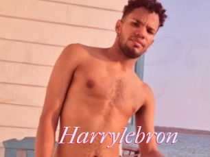 Harrylebron