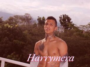 Harrymera