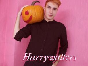 Harrywalters