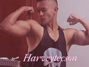 Harveytecson