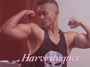 Harveytuquer