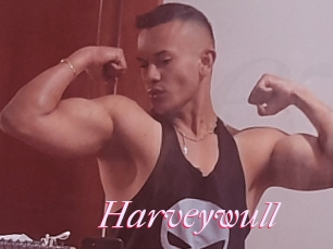 Harveywull