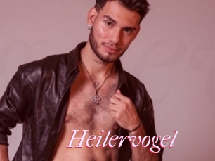 Heilervogel