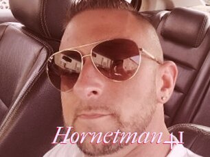 Hornetman41