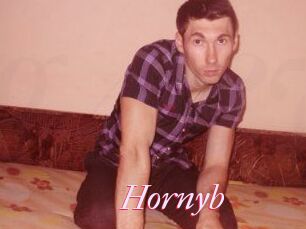Hornyb