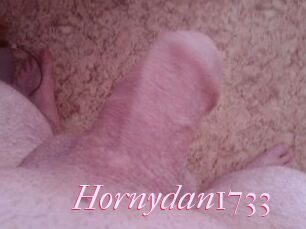 Hornydan1733