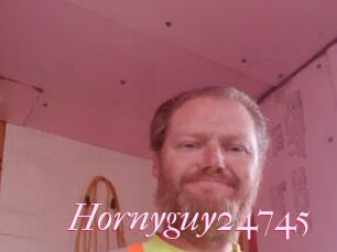 Hornyguy24745