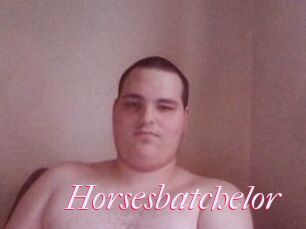 Horsesbatchelor