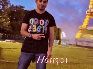 Hoss301
