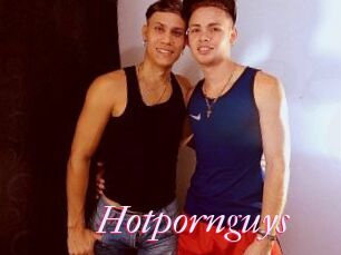 Hotpornguys