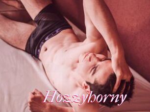 Hozzyhorny