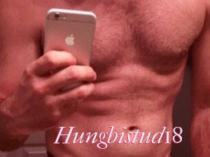 Hungbistud18