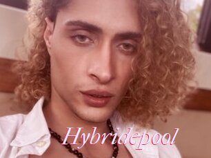 Hybridepool