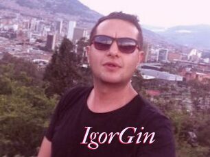 IgorGin