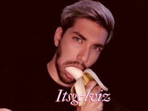 Itsgelviz