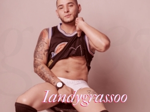 Iandygrassoo
