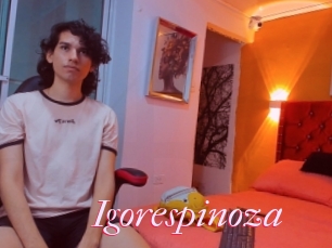 Igorespinoza