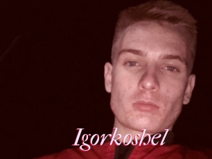 Igorkoshel