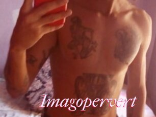 Imagopervert