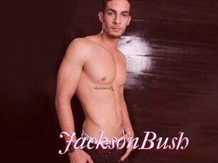 JacksonBush