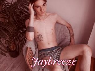 Jaybreeze