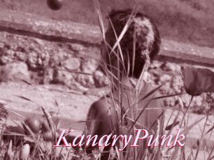 KanaryPunk