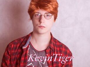 KevinTiger