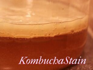 KombuchaStain
