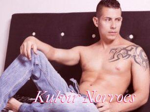 Kulvir_Norroes