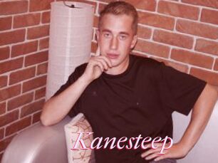 Kanesteep