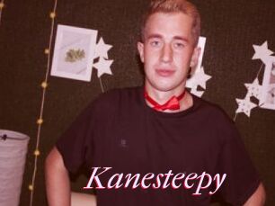 Kanesteepy