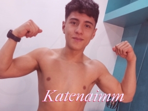 Katenaimm