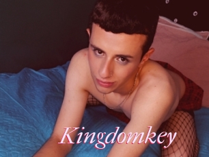 Kingdomkey