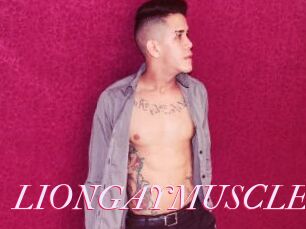 LIONGAYMUSCLET