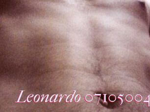 Leonardo-07105004