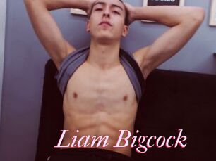 Liam_Bigcock