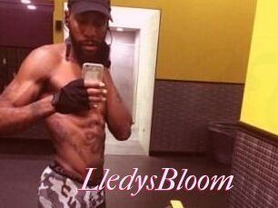Lledys_Bloom