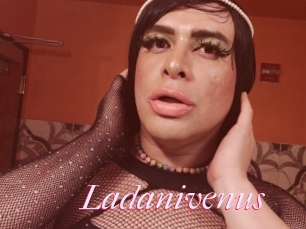 Ladanivenus