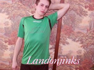 Landonjinks