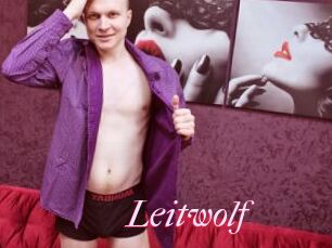Leitwolf