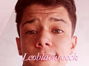 Leoblackcoock
