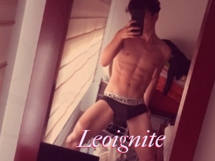 Leoignite