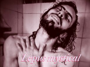 Lepus_mystical