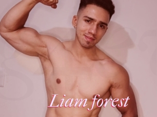 Liam_forest