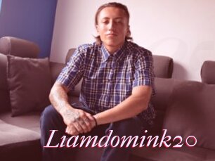 Liamdomink20