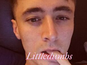 Littledumbs