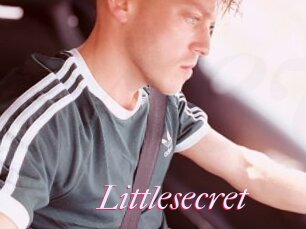 Littlesecret