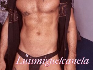 Luismiguelcanela